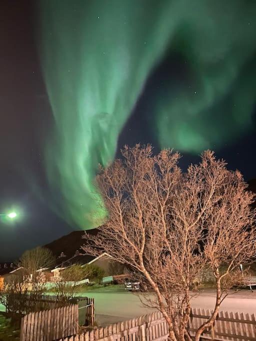 Ny Og Moderne I * Hammerfest